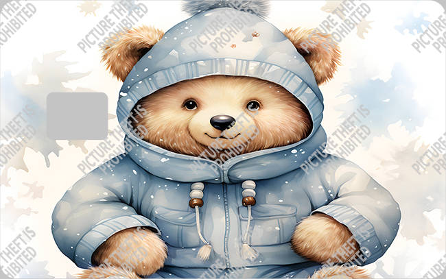 Bank  Card Sticker-BC-2624